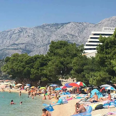 Mihaljevic * 伯德古拉